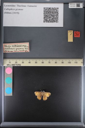 Media type: image;   Entomology 210405
